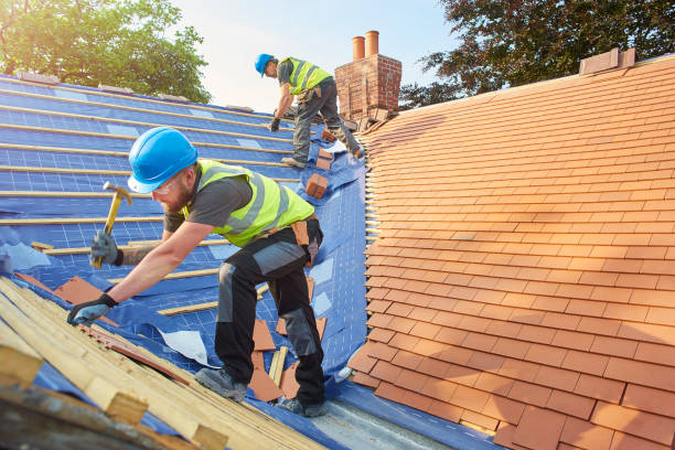 Best Asphalt Shingle Roofing  in Murfreesboro, TN